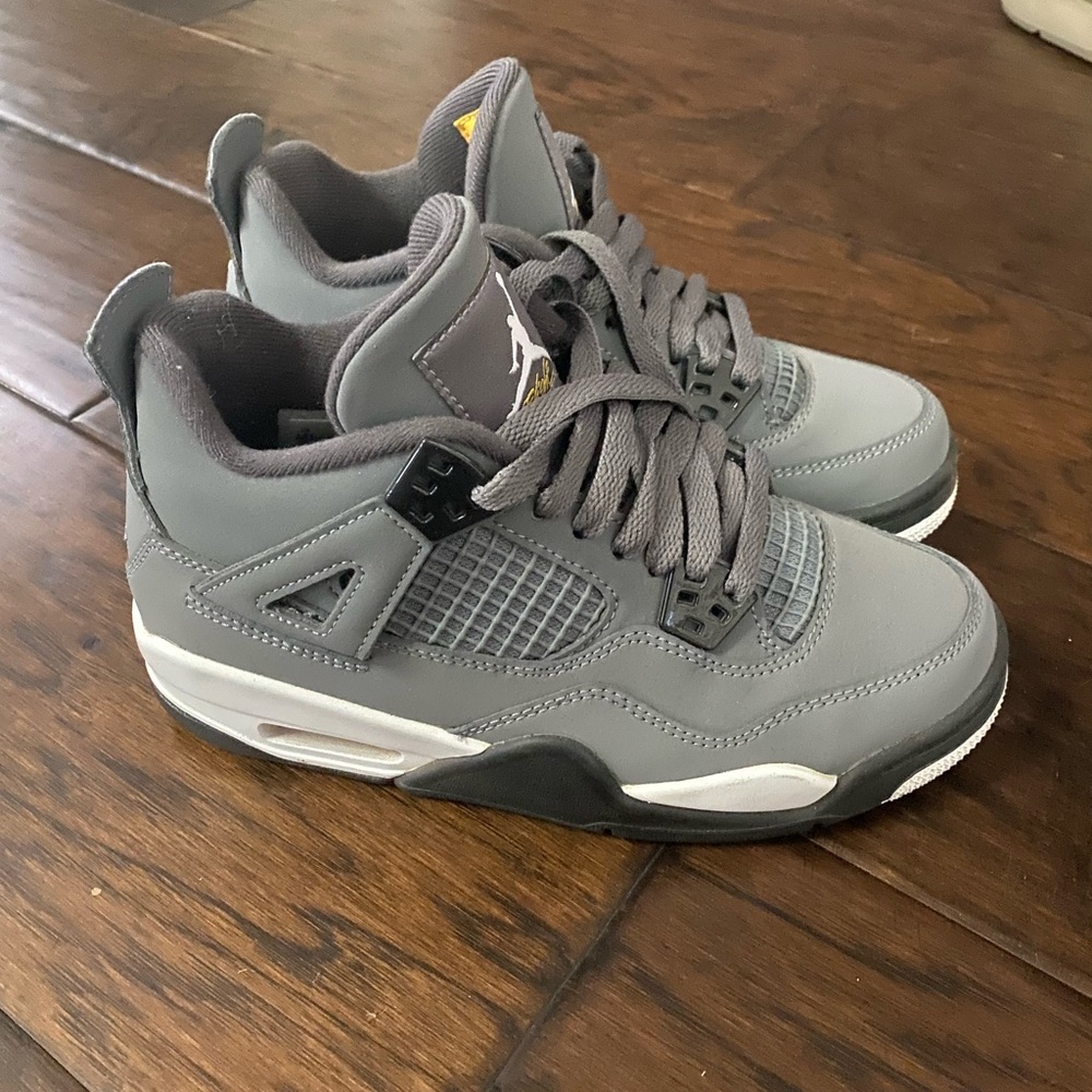 Jordan 4 Retro Cool Grey (2019)